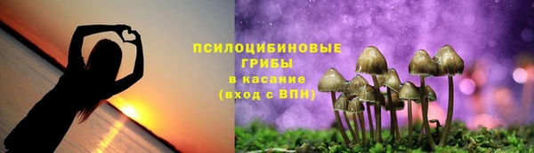 прущие крисы Верхний Тагил
