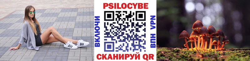 Галлюциногенные грибы MAGIC MUSHROOMS Первомайск