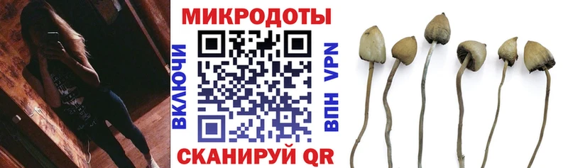 Галлюциногенные грибы мухоморы  даркнет сайт  Первомайск 